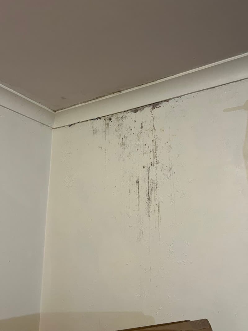 Supreme Painting Group painter work in Parramatta