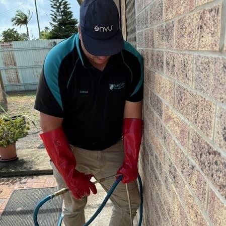 SureSafe Pest Management pest control work in Walkervale