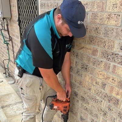 SureSafe Pest Management pest control work in Walkervale