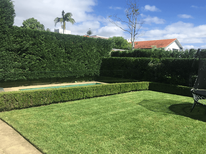 SurfSide Gardens gardening work in North Avoca