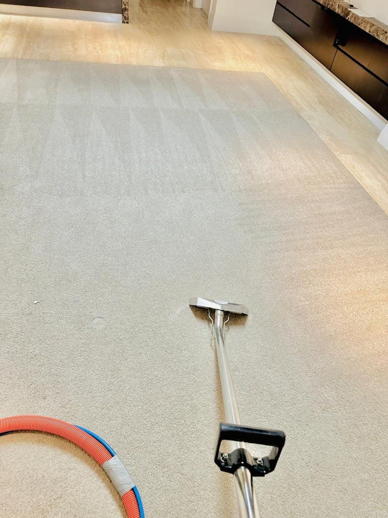 SVK Glowing Cleaning Service carpet cleaning work in Dandenong