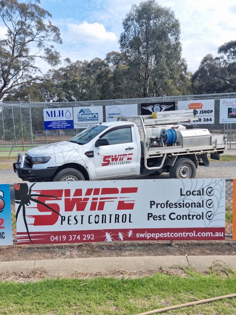 Swipe Pest Control pest control work in Wedderburn