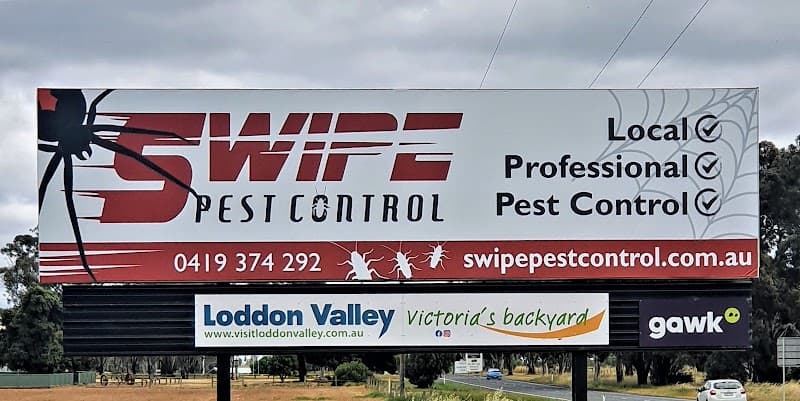 Swipe Pest Control pest control work in Wedderburn