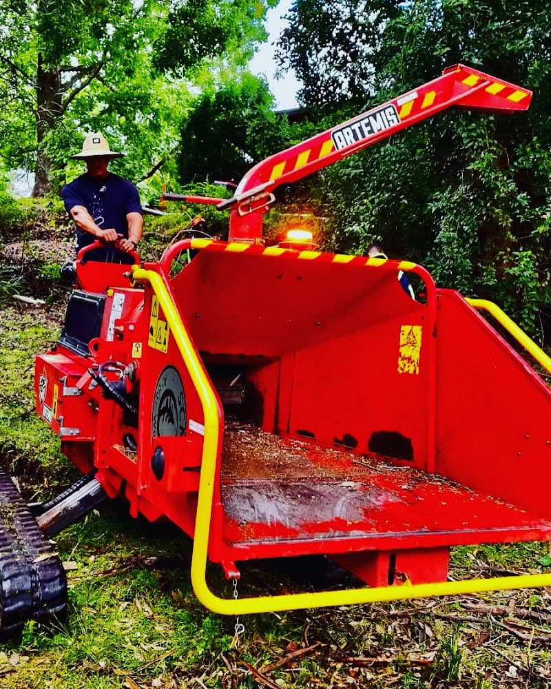Sydney City Mulch & Tree Service tree services work in Glebe