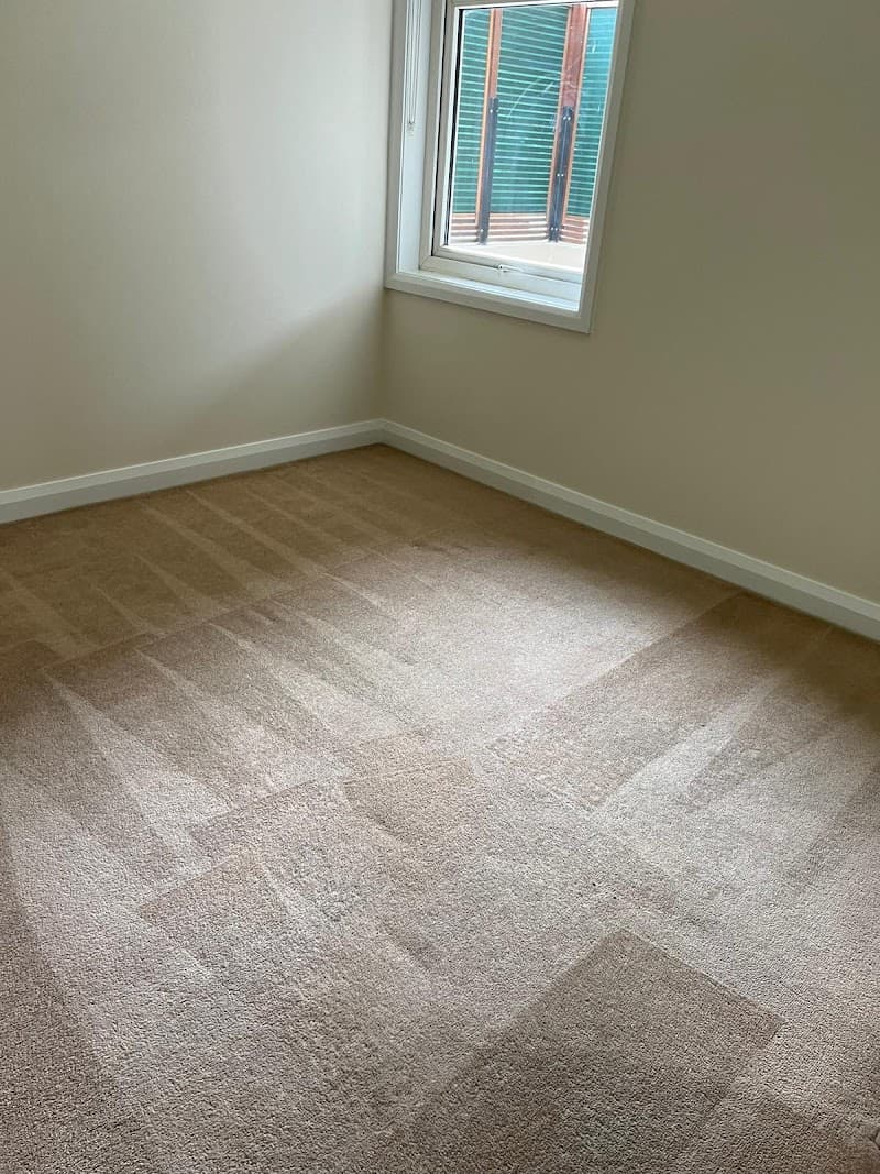 Sydney Clean Service carpet cleaning work in Surry Hills