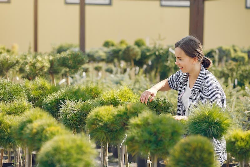 Sydney Gardening Group landscaping work in Merrylands West