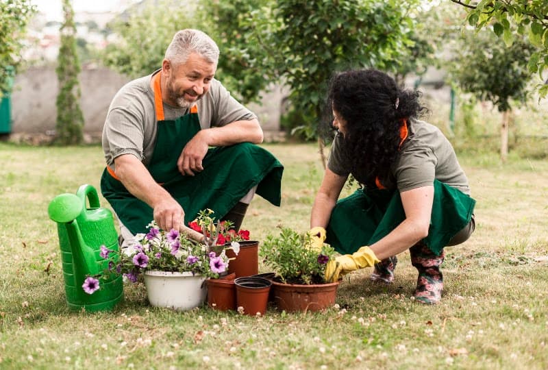 Sydney Gardening Group landscaping work in Merrylands West