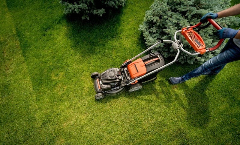 Sydney Gardening Group landscaping work in Merrylands West