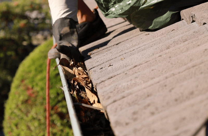 Sydney Gutter Clean gutter cleaning work in Crows Nest