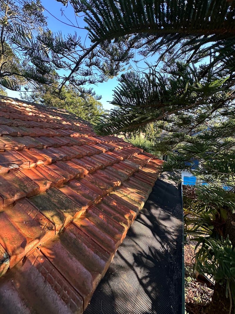Sydney Gutter Clean gutter cleaning work in Crows Nest