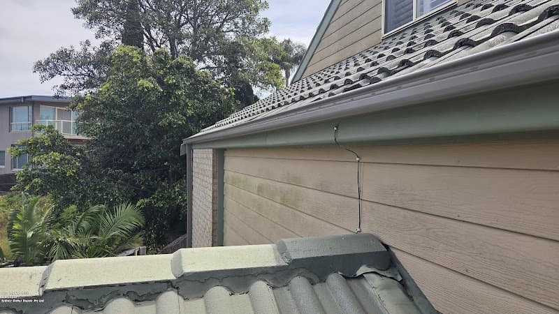 Sydney Gutter Repair gutter cleaning work in Queenscliff