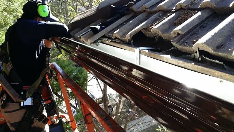 Sydney Gutter Repair gutter cleaning work in Queenscliff