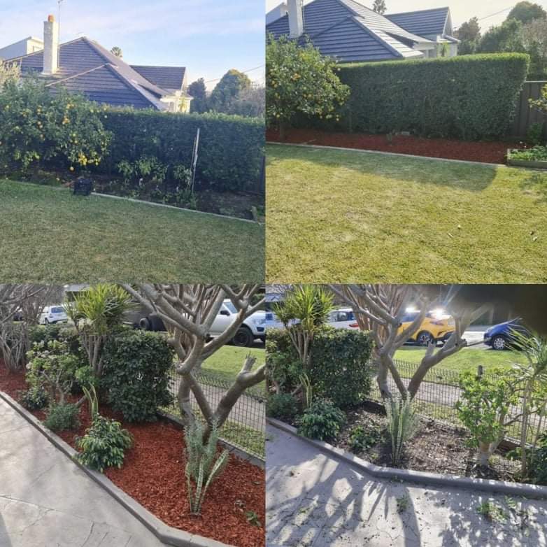 Sydney Mowing and Lawn Care Pty Ltd lawn care work in Ryde