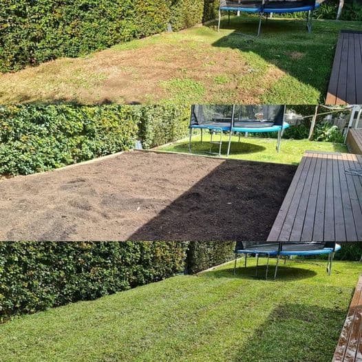 Sydney Mowing and Lawn Care Pty Ltd lawn care work in Ryde