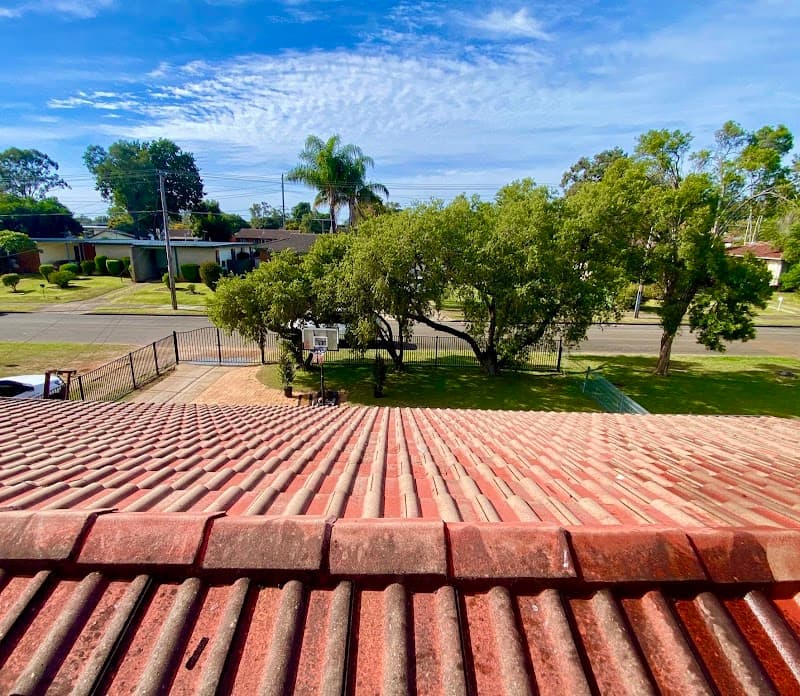 Sydney Painting Experts painter work in Greenwich