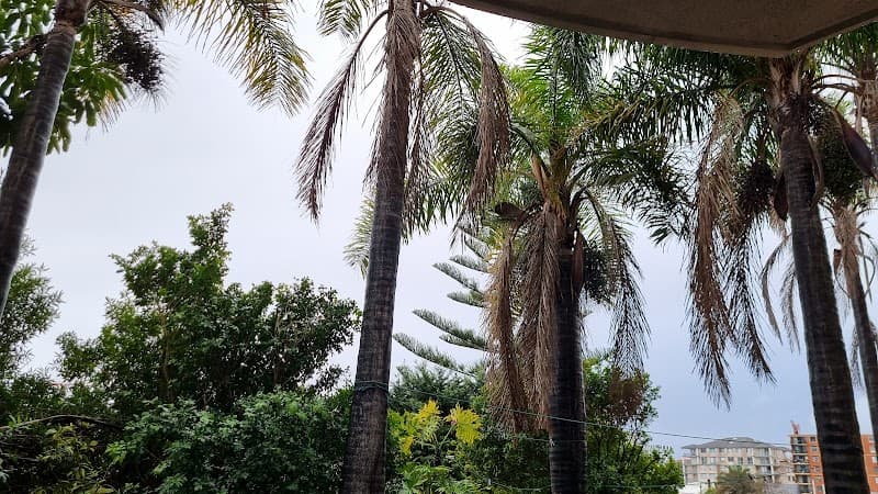 Sydney Palms Tree Pruning & Removal tree services work in Randwick