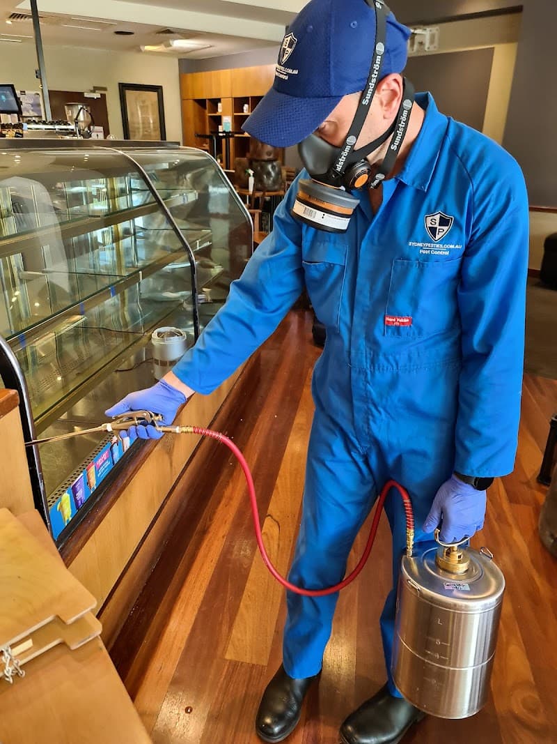 Sydney Pesties | Pest Control pest control work in Colyton
