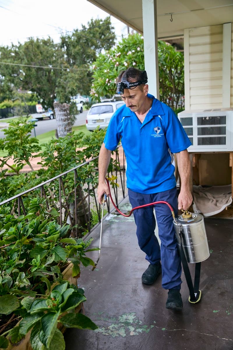 Sydney Pesties | Pest Control pest control work in Colyton