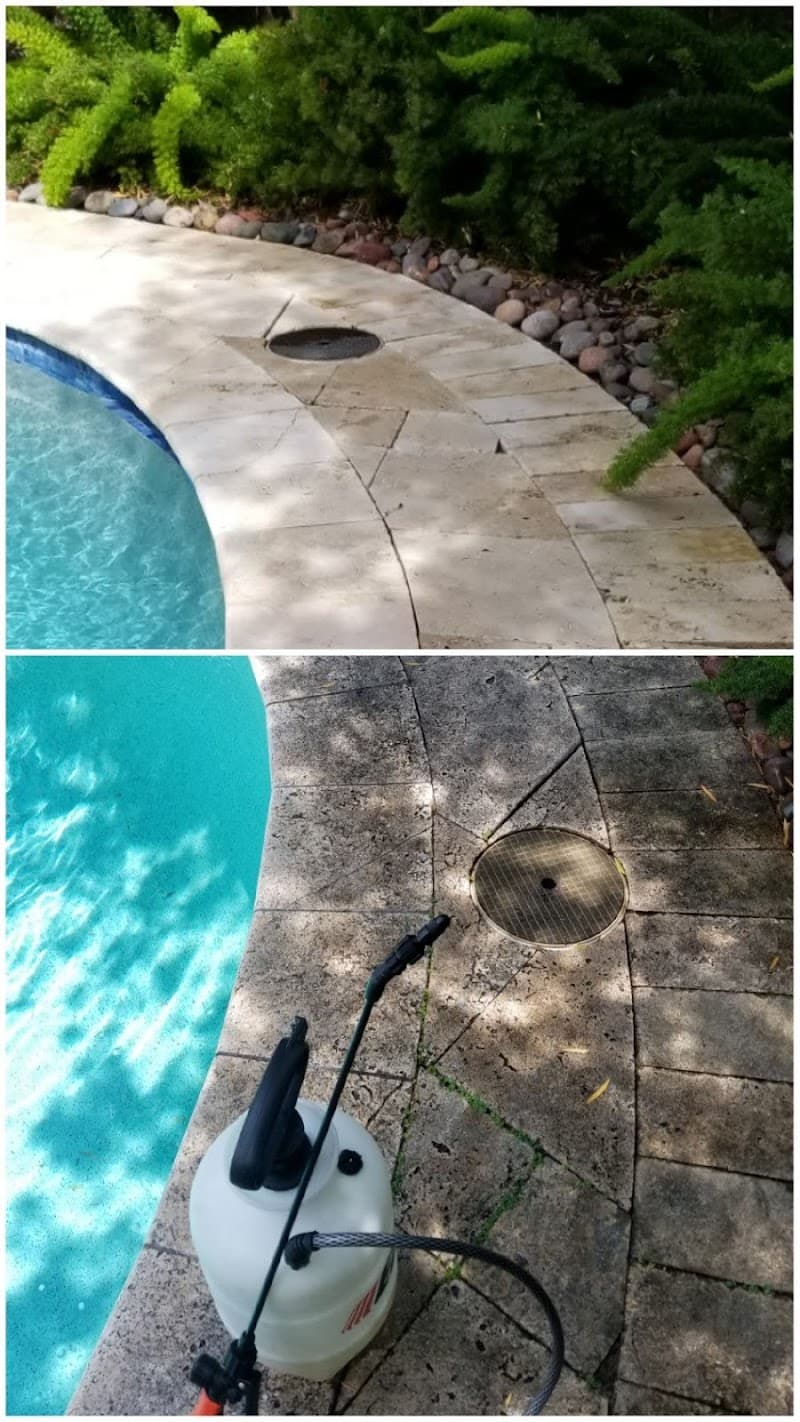 Sydney Pressure Washing Service pressure washing work in Bellevue Hill