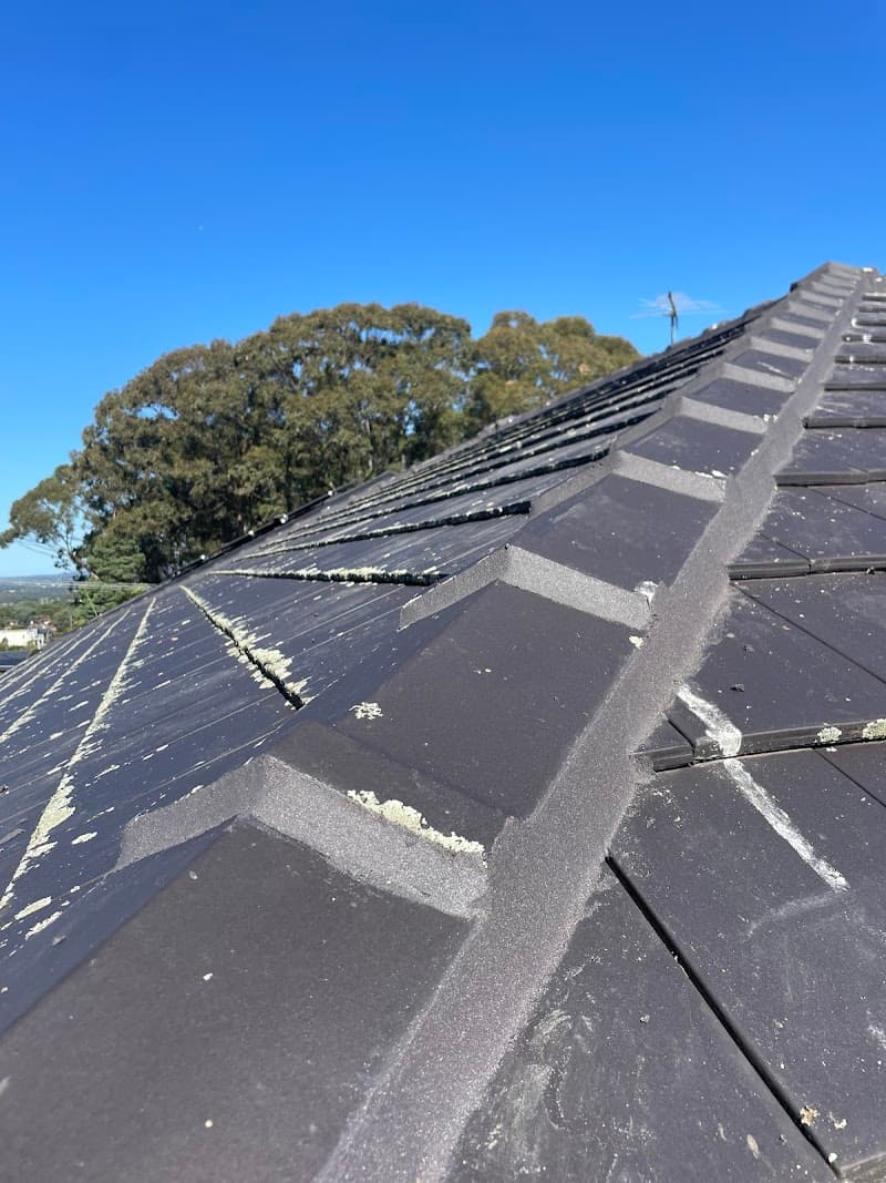Sydney Roofing Specialists roofing work in Marrickville
