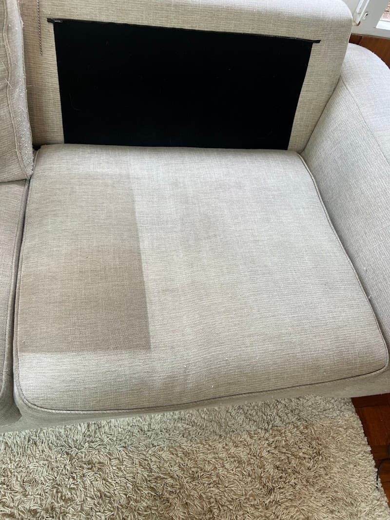 Sydney Steemer Carpet Cleaner carpet cleaning work in Penshurst
