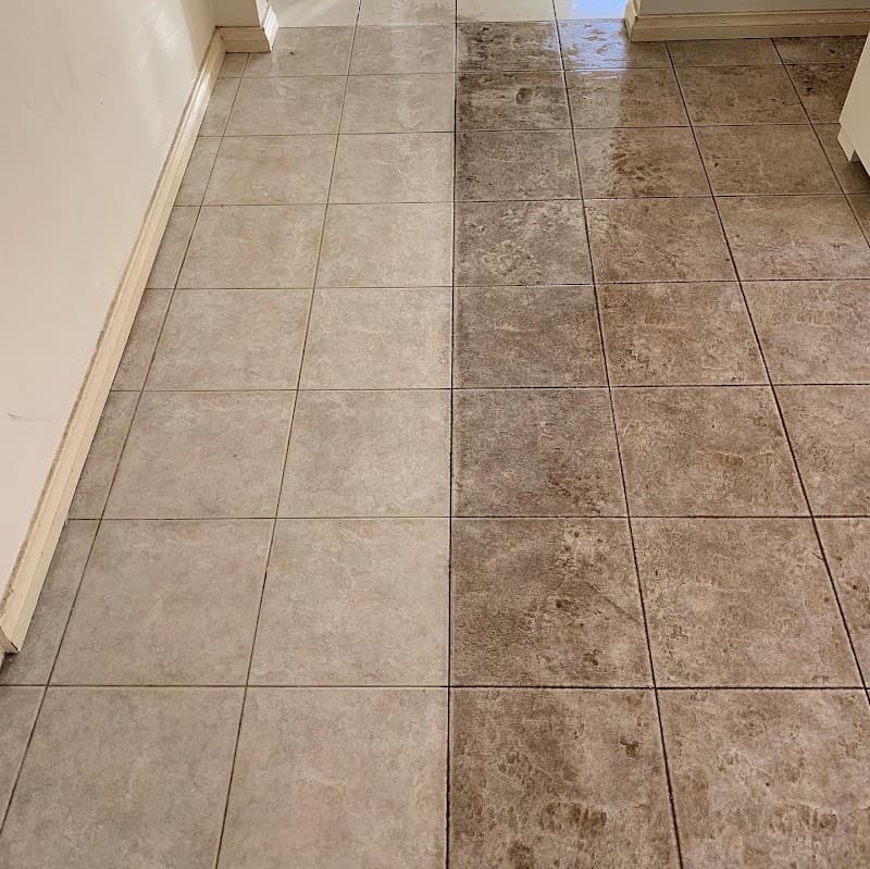Sydney Steemer Carpet Cleaner carpet cleaning work in Penshurst