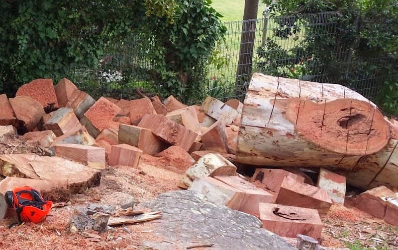 Sydney Tree Works tree services work in Engadine