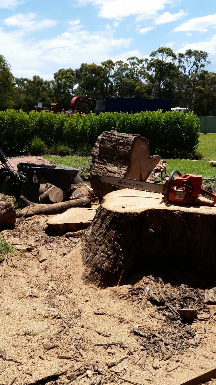 Sydney Tree Works tree services work in Engadine