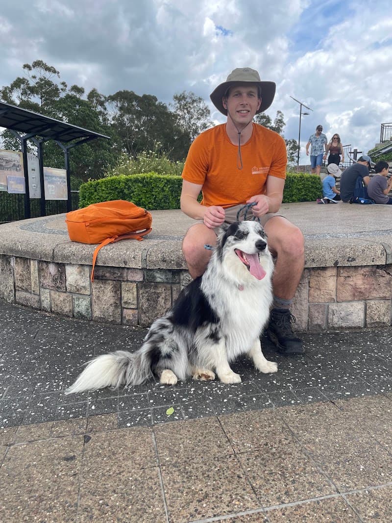 Synergy Dog Training dog training work in Warner