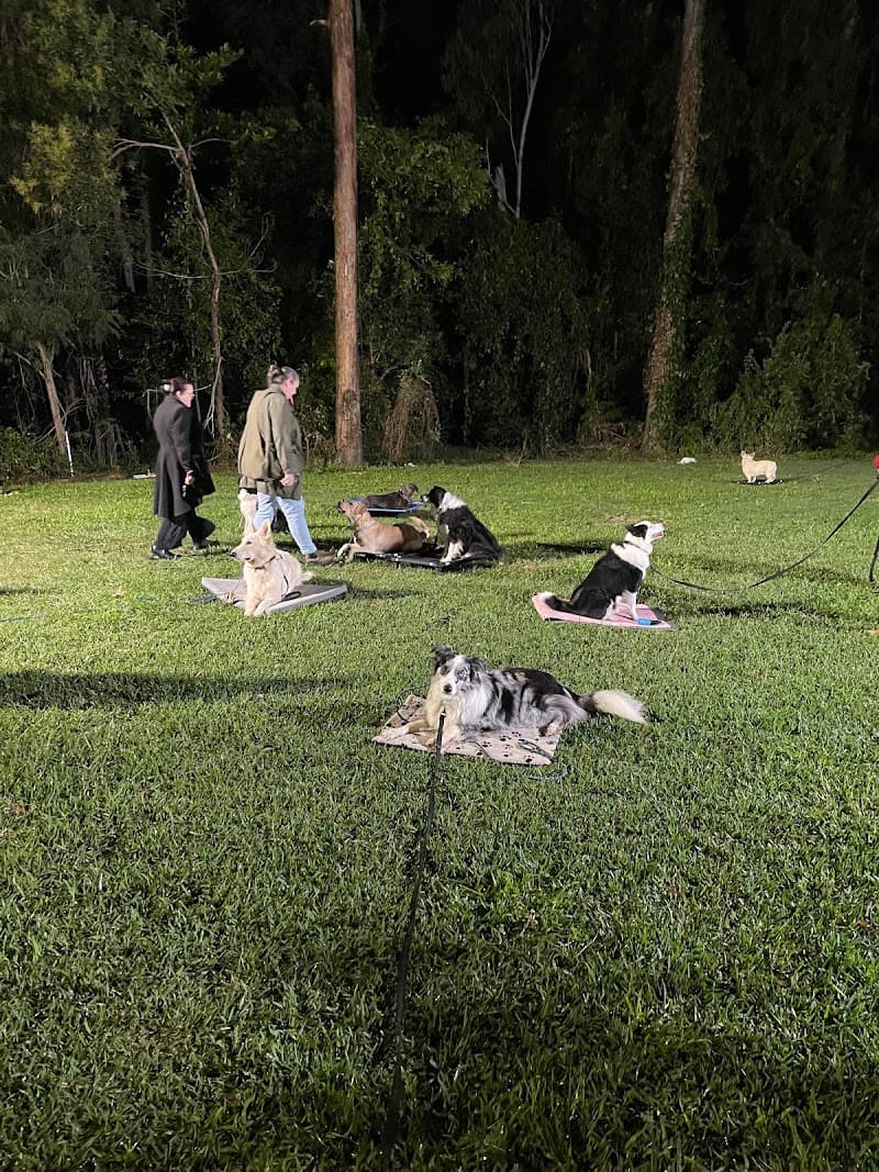 Synergy Dog Training dog training work in Warner