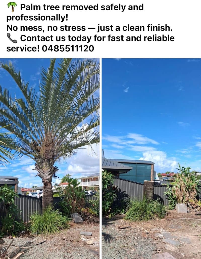 T-Rex tree services tree services work in Burpengary