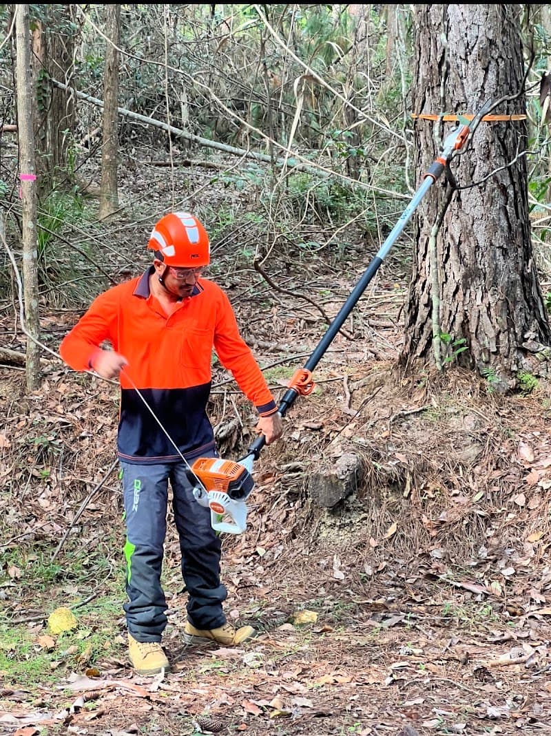 T-Rex tree services tree services work in Burpengary