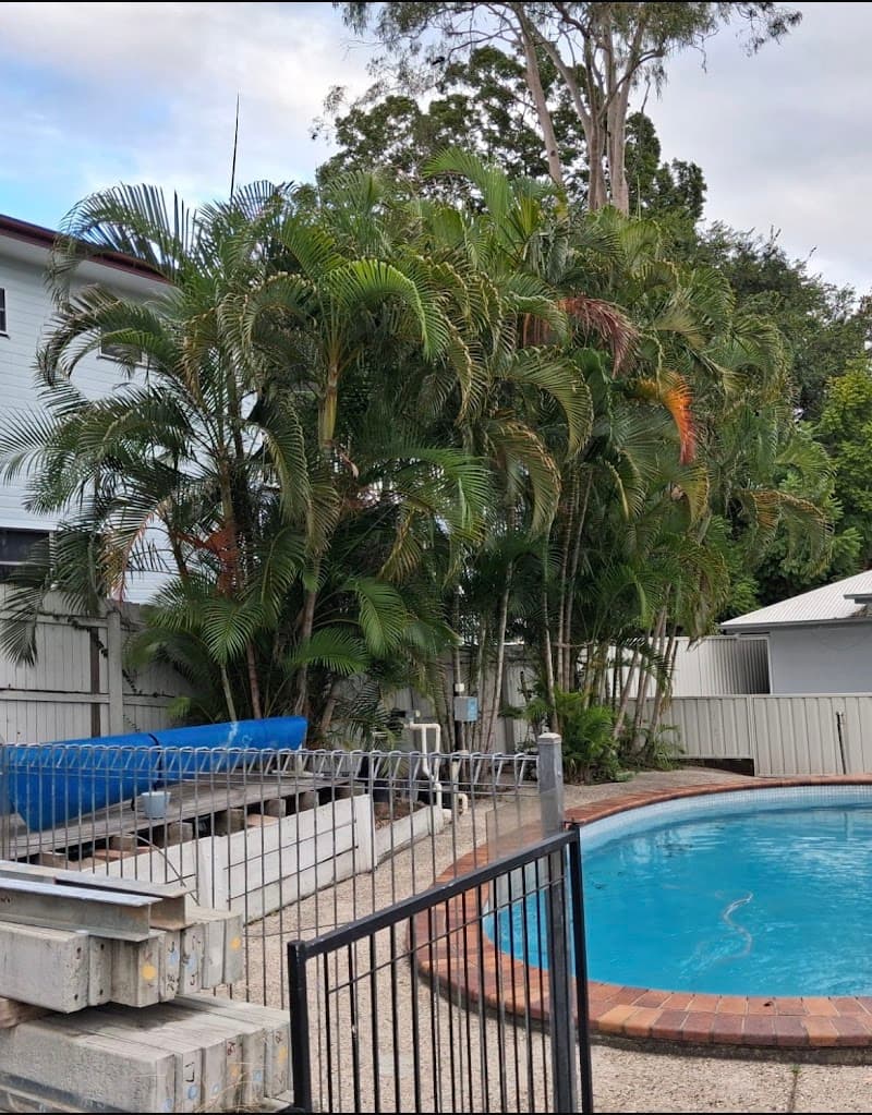 T-Rex tree services tree services work in Burpengary