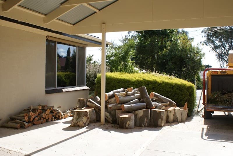 Taking Care of Trees tree services work in Holden Hill