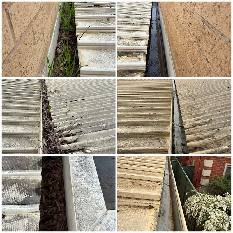 T&C Gutter Protection gutter cleaning work in Bendigo