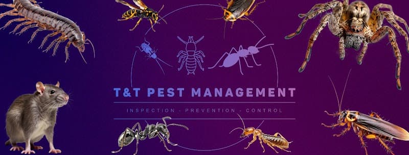 T&T Pest Management pest control work in Park Avenue