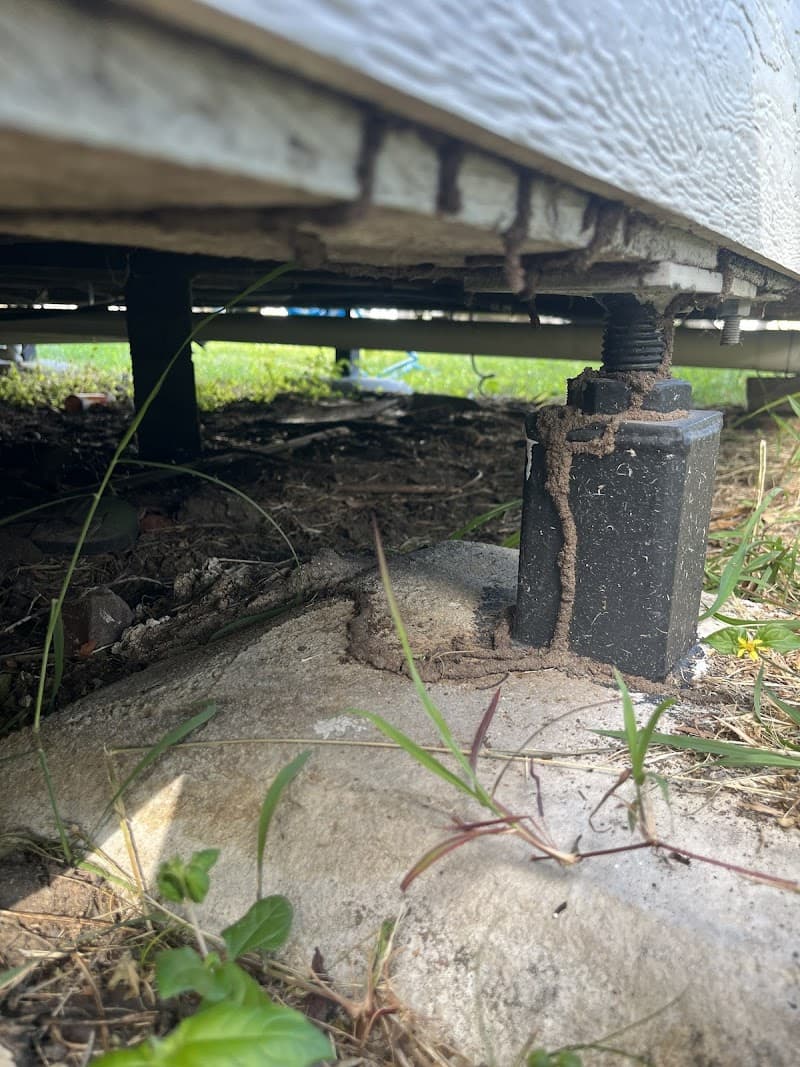 T&T Pest Management pest control work in Park Avenue