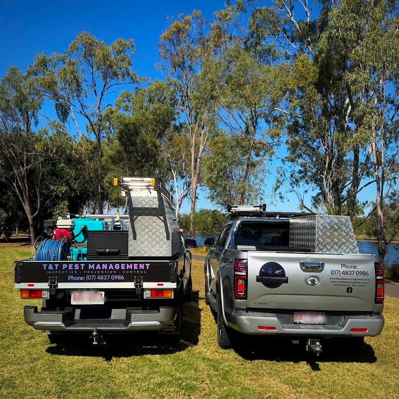 T&T Pest Management pest control work in Park Avenue
