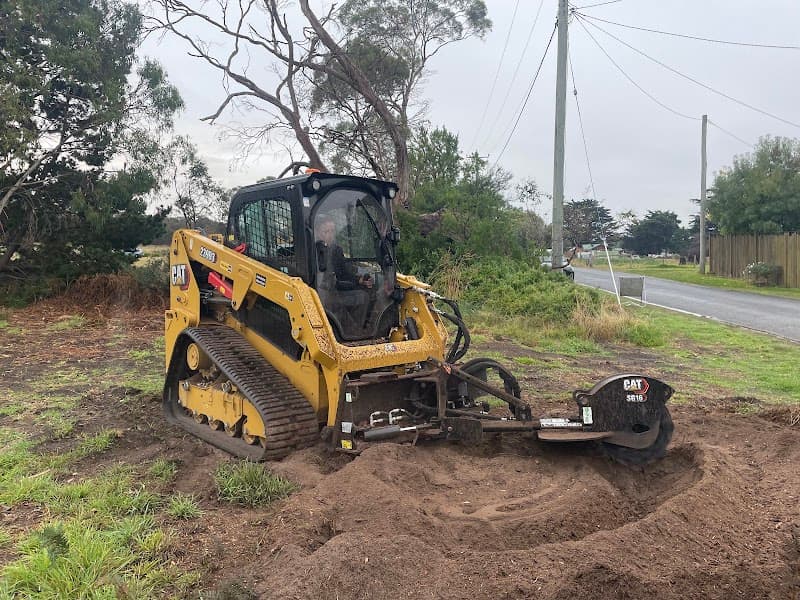 Tasmanian Tree Care tree services work in Hobart