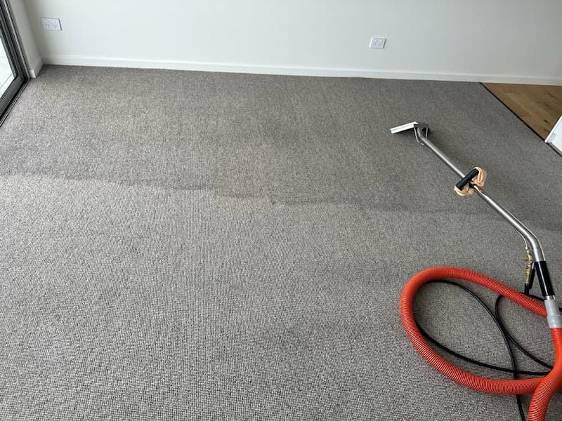 Tassi Cleaning Services oven & bbq cleaning work in Sandy Bay