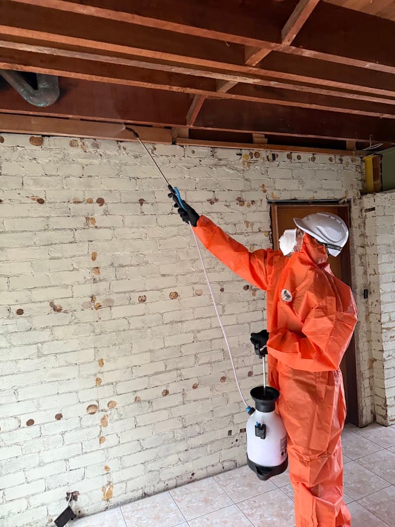 Tatracon Group asbestos removal work in Freshwater
