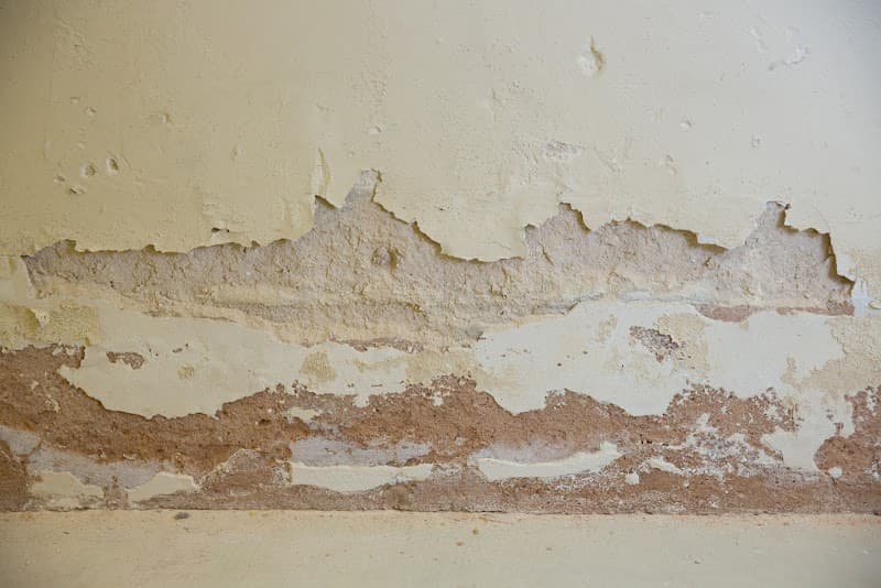 Tech-Dry SA waterproofing work in Somerton Park