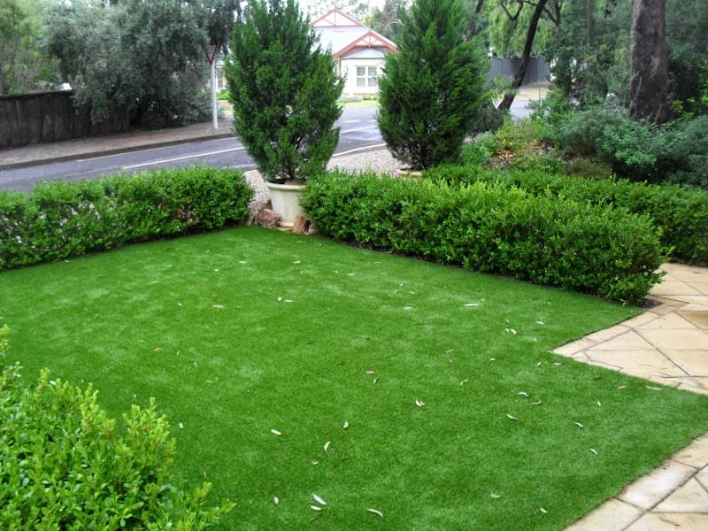 Termimesh Adelaide pest control work in Wayville
