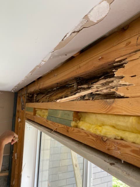 Termimesh Townsville | Termi Home & Commercial pest control work in Kirwan