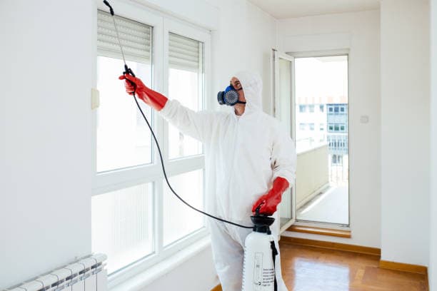 Termite Control Melbourne RF pest control work in Melbourne