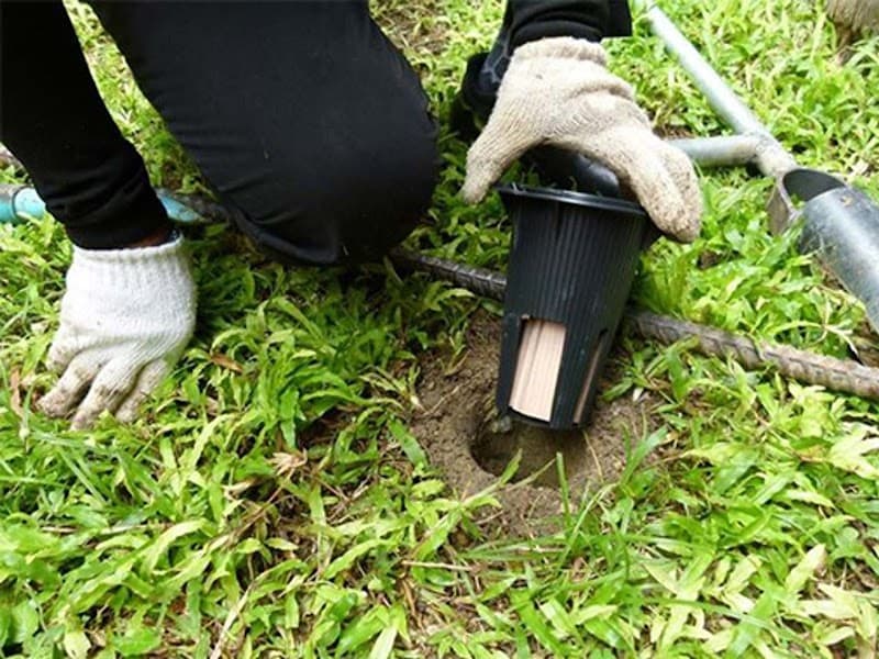 Termites Gone pest control work in Deeragun