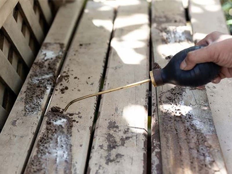 Termites Gone pest control work in Deeragun