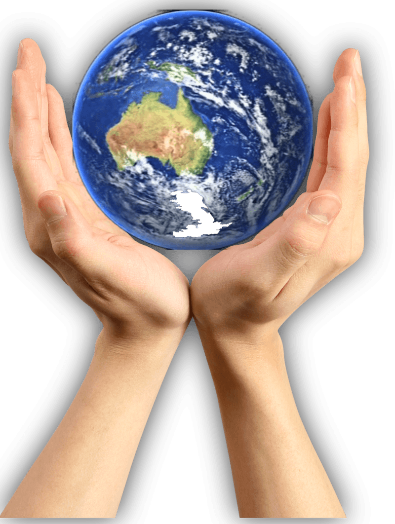 Terre Australis tree services work in Dalyellup