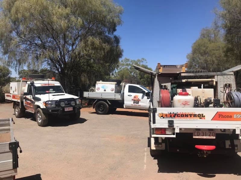 Territory Pest Control pest control work in Winnellie