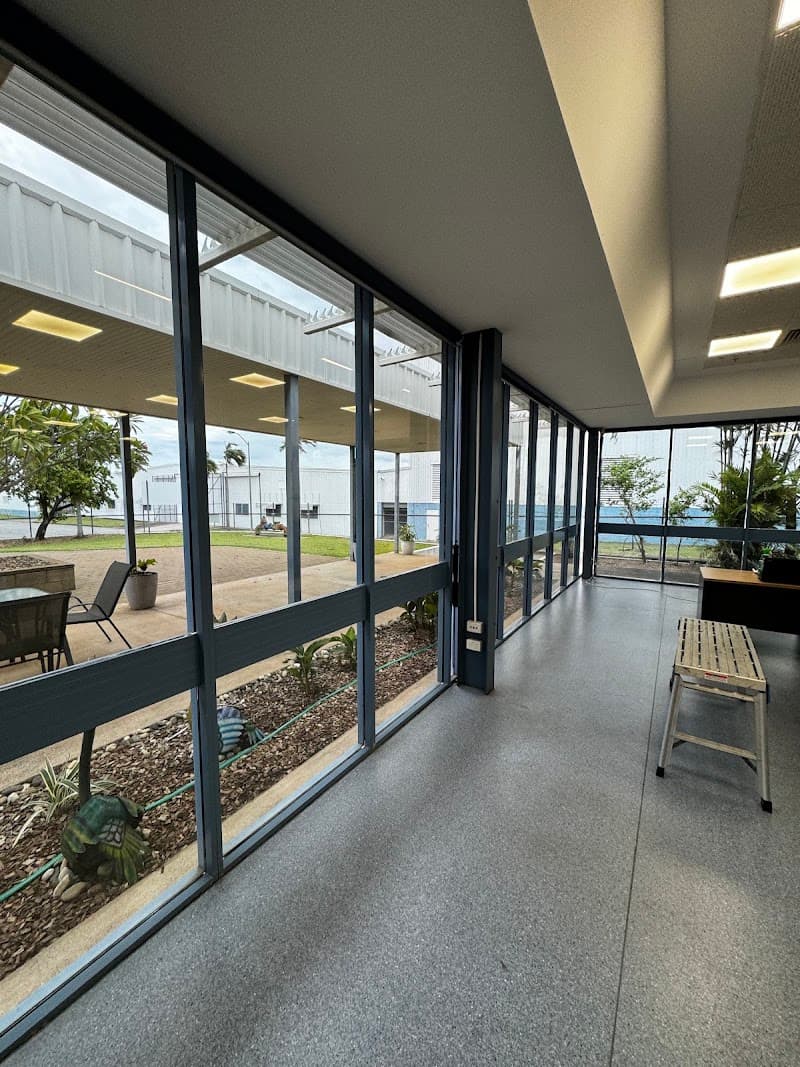 Territory Tint window tinting work in Stuart Park